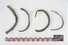 Foto von Bronzeschaukelfußreif (NHMW-PRAE-026631)